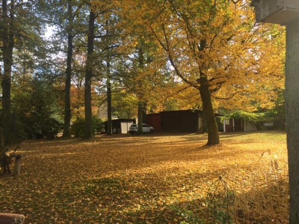 Der Stellplatz im Herbst